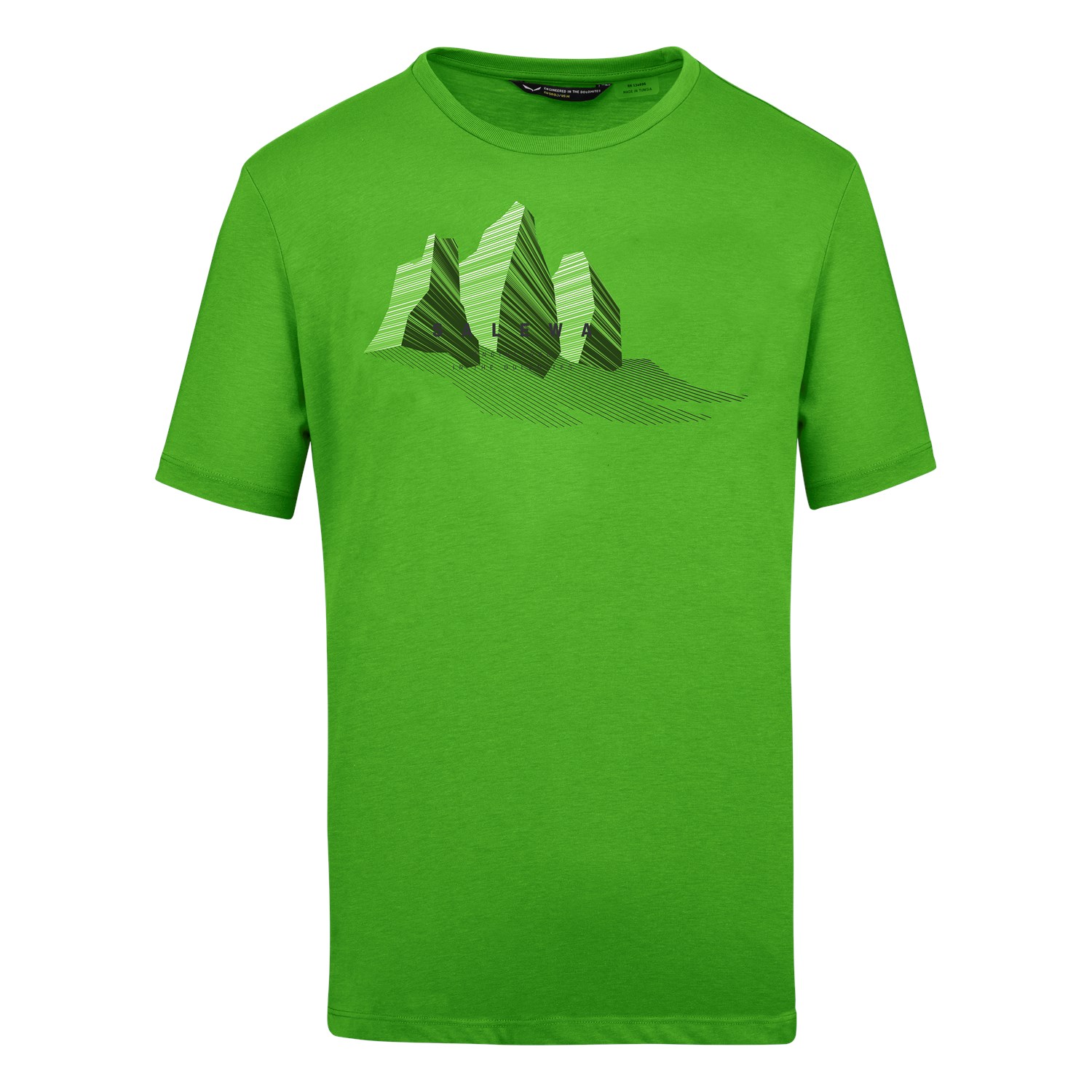 Salewa Lines Graphic Dry Erkek T-Shirts Yeşil Türkiye 273041TNG